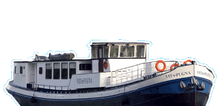 vita pugna foto